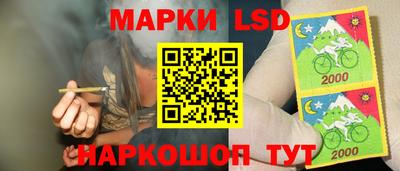 гидропоника Малгобек