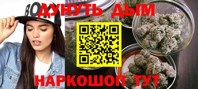 индика Мариинск