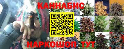 индика Мариинск