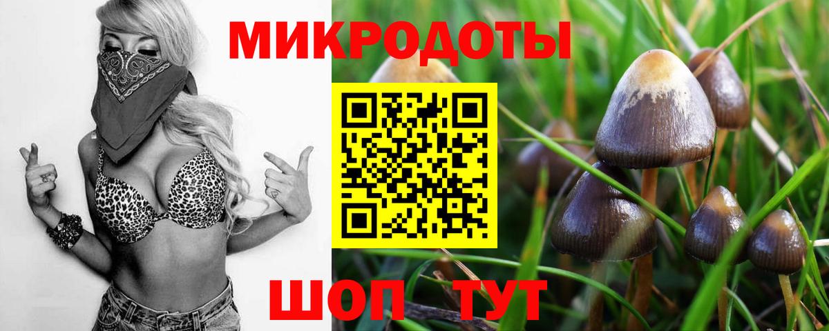 Псилоцибиновые грибы ЛСД  Галлюциногенные грибы GOLDEN TEACHER  Всеволожск  Вход с VPN 